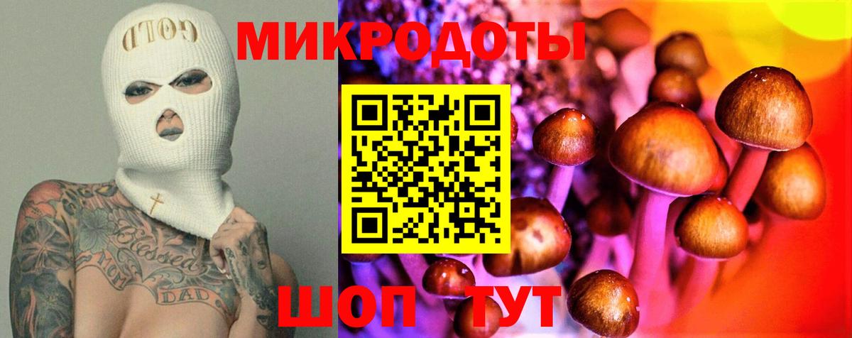 Псилоцибиновые грибы прущие грибы Спасск-Дальний