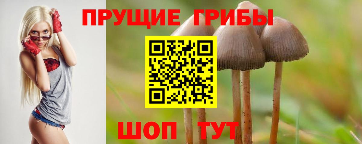 Галлюциногенные грибы мухоморы  Галлюциногенные грибы Psilocybine cubensis  Спасск-Дальний  Вход с VPN 